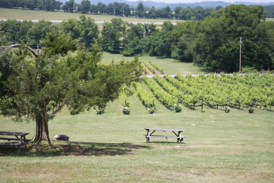 Oh So Glam: Arrington Vineyard