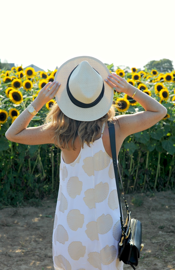 Michael Stars Panama Hat