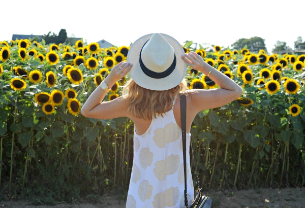 Sunflower Field - Oh So Glam