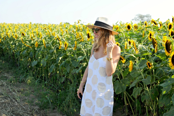 The Hamptons Sunflower Field