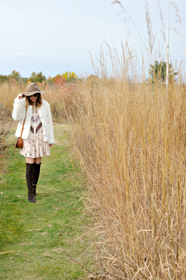 Fall Field