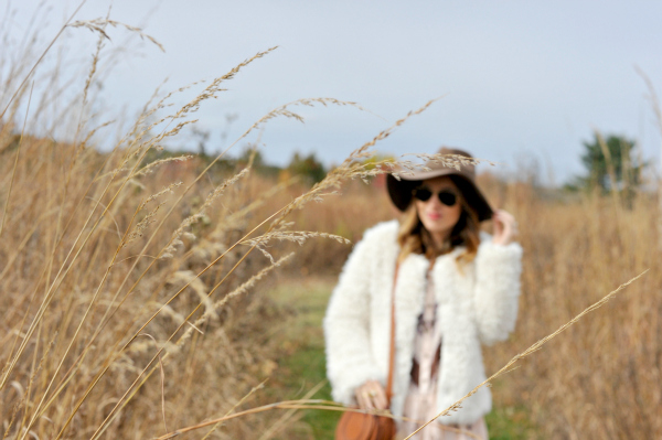 Fall Field Picture