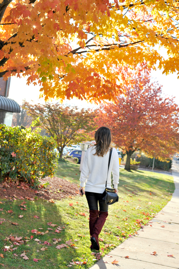 Connecticut Fall Foliage