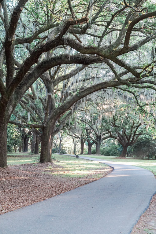 Oh So Glam Charleston Travel Guide