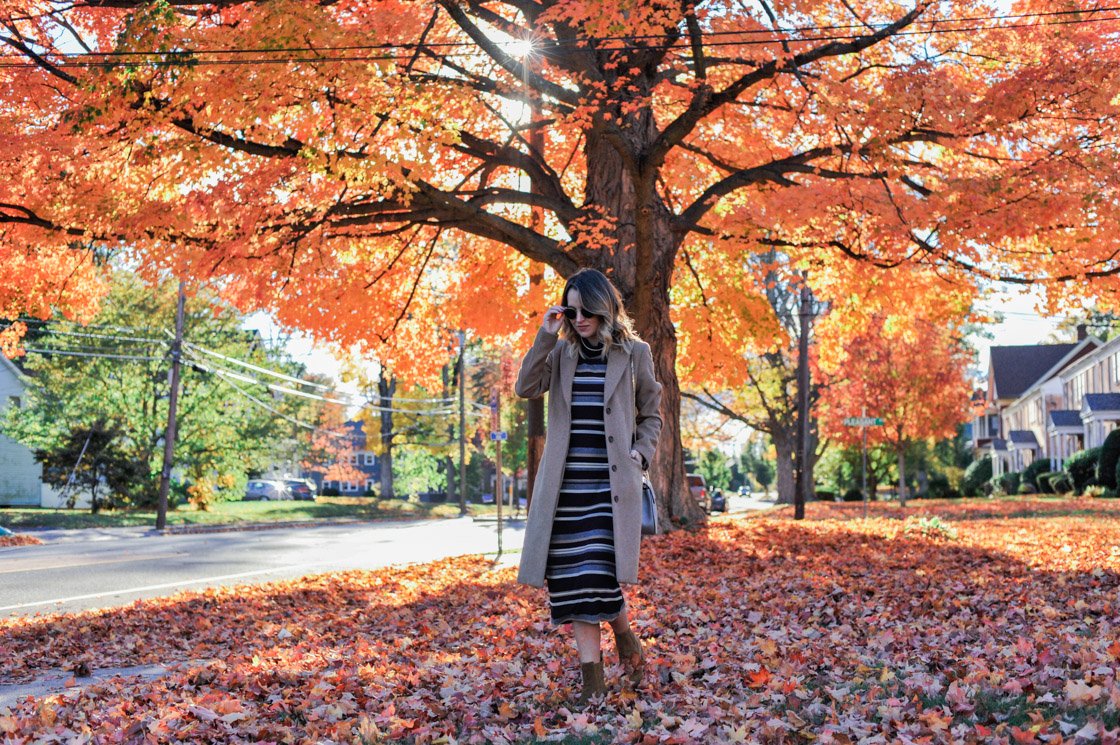 Connecticut Foliage