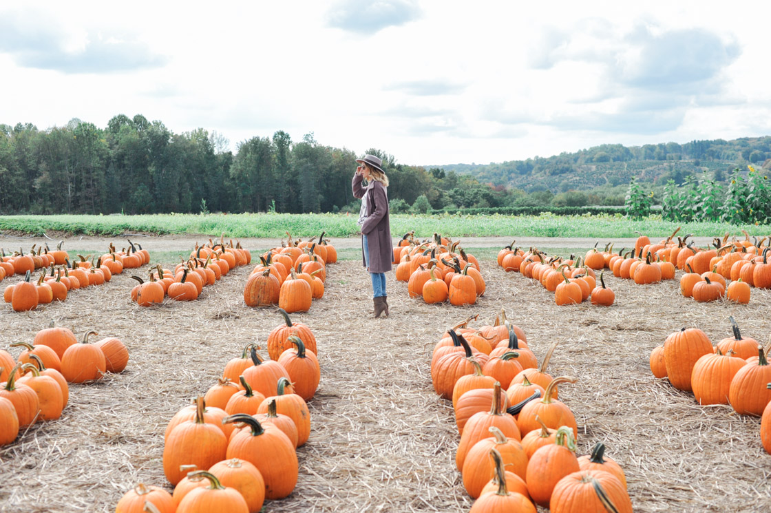 pumpkins-horizontal-7