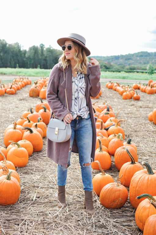 Jones Family Farm Pumpkin Picking