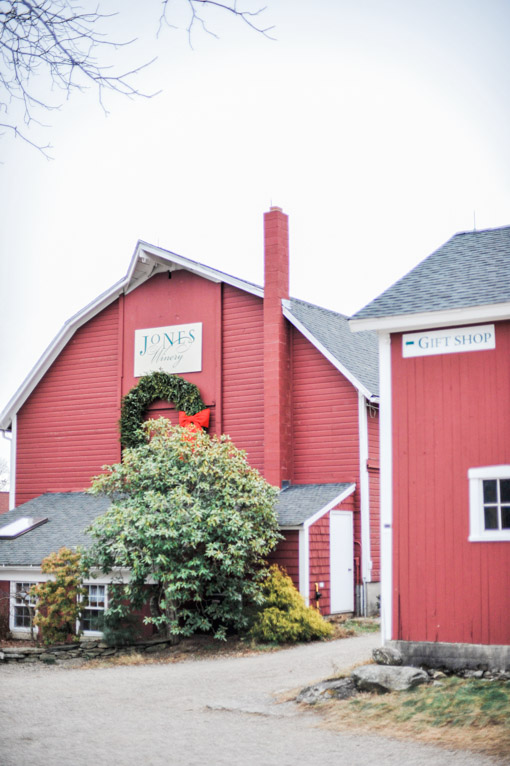 Jones Tree Farm Connecticut