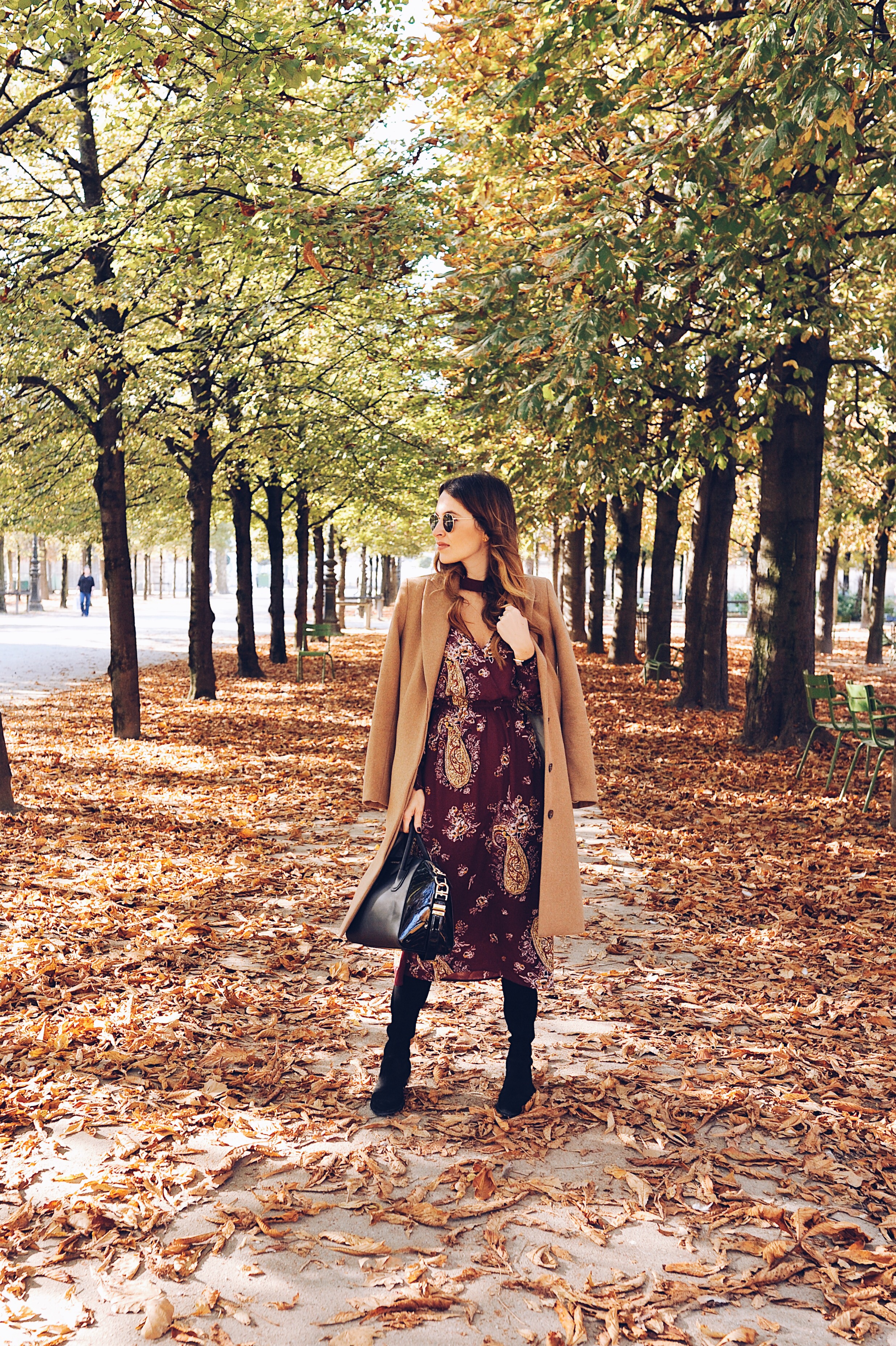 Fall in Paris