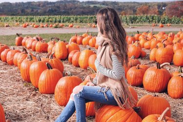 Pumpkin Picking Jones Family Farms