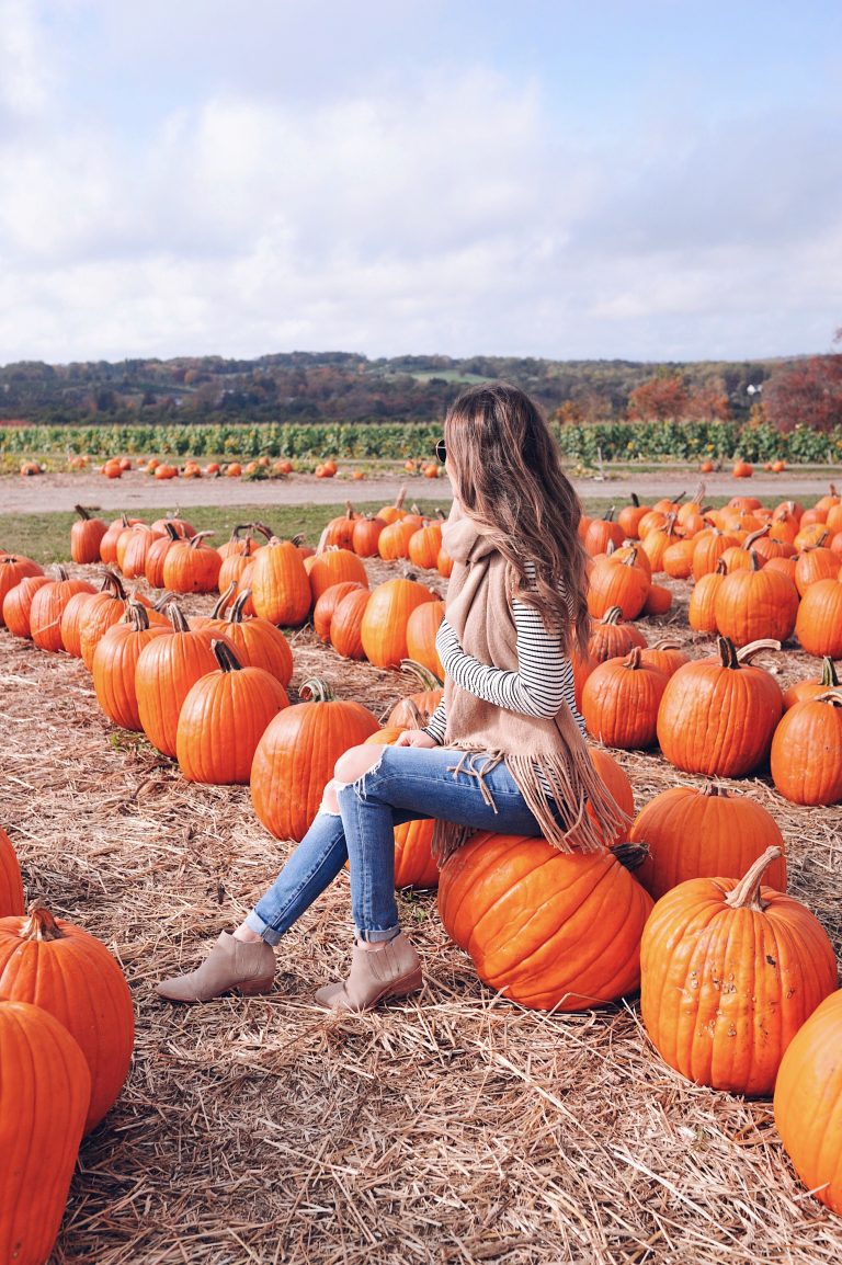 8 Fun Fall Things to Do in Connecticut - Oh So Glam