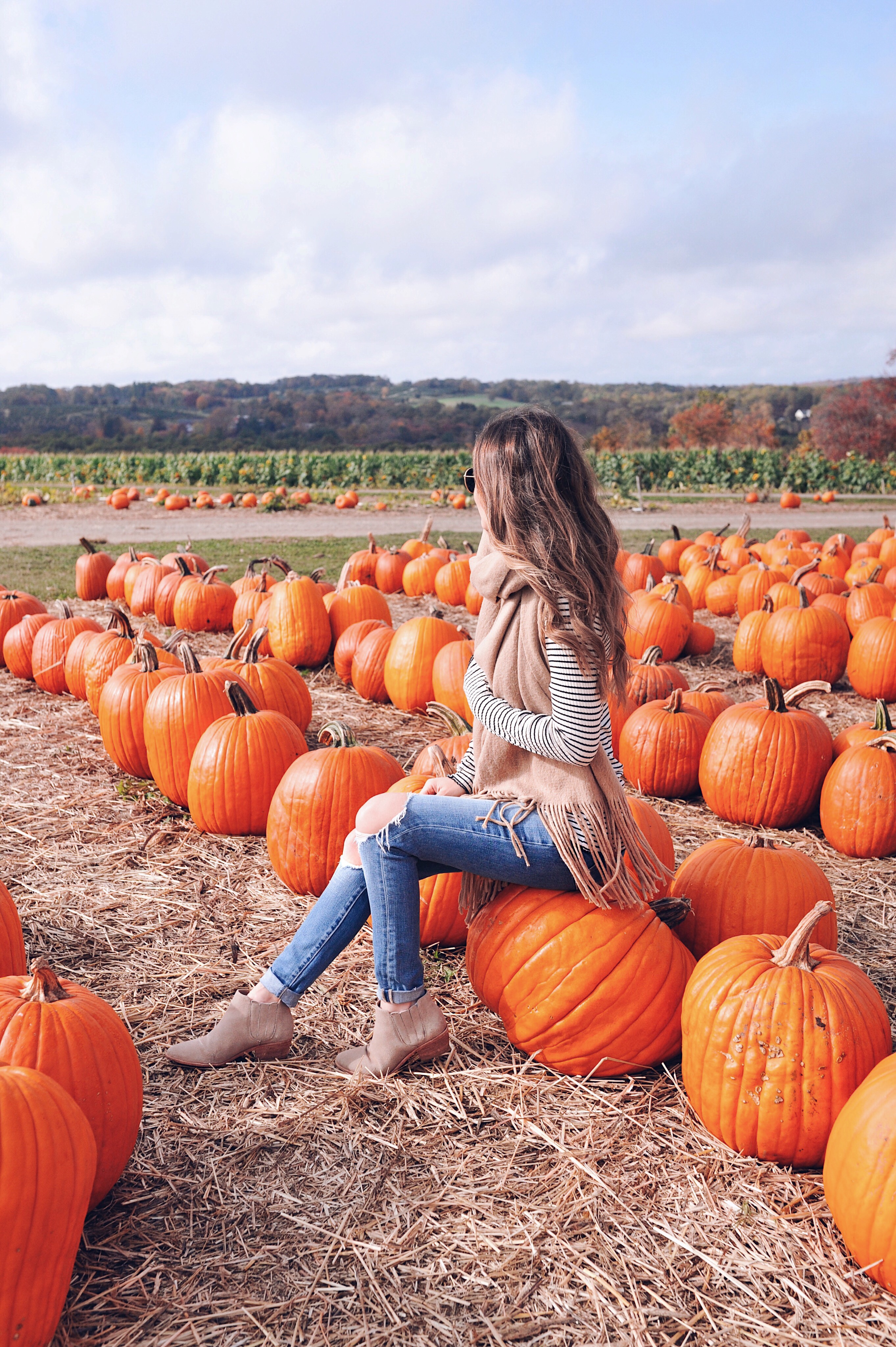 Pumpkin Picking Jones Family Farms