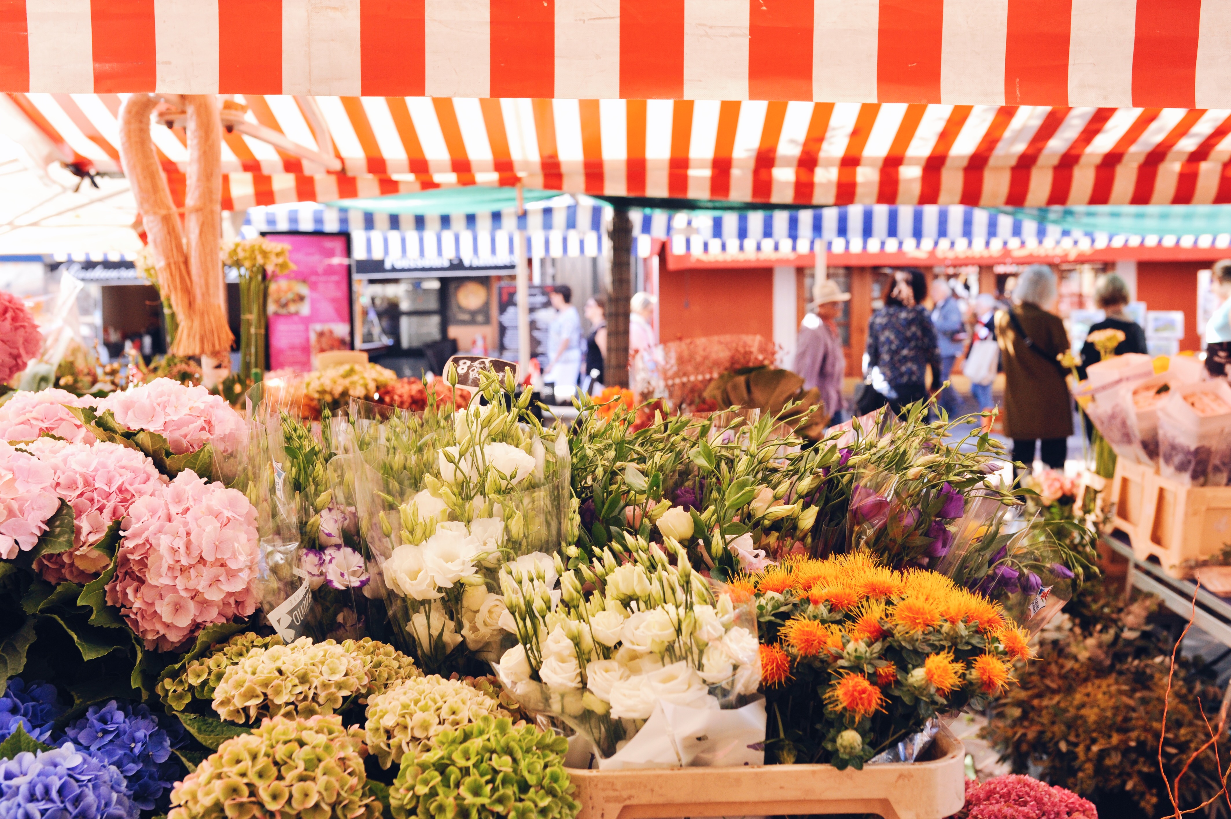 Flower Market Nice, France