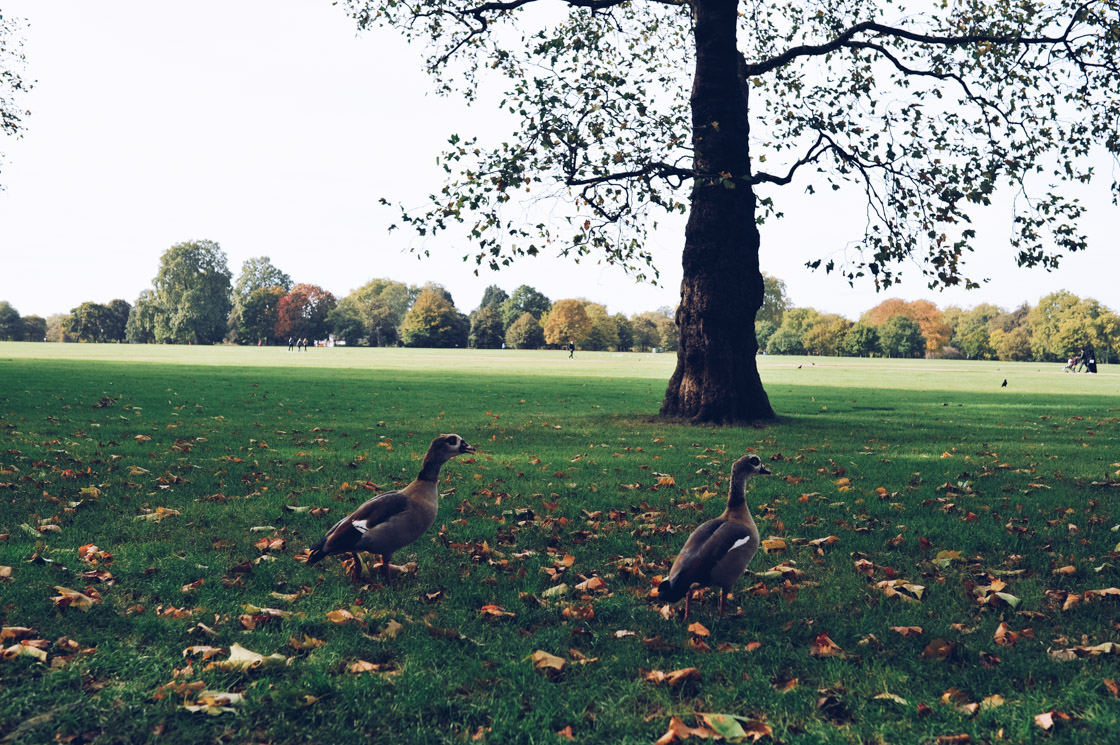 London Hyde Park