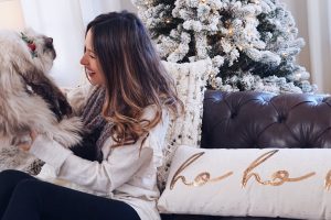 Cozy Holiday Living Room Decor