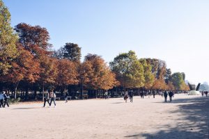 Paris Jardin Des Tuileries