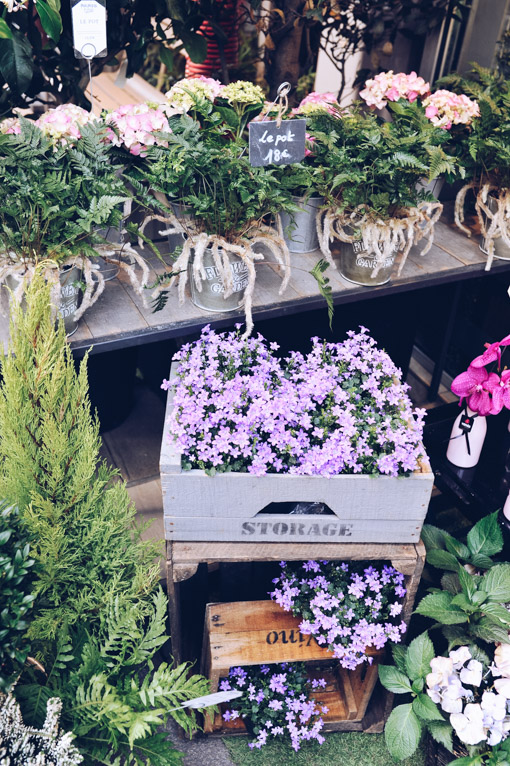 Paris Flower Shops