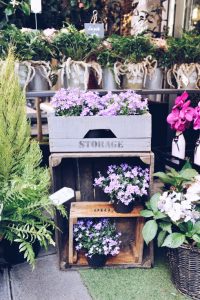 Paris Flower Shops