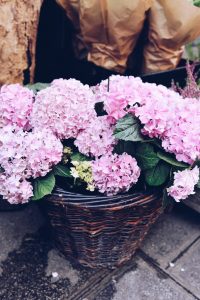 Paris Flower Shops