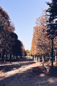 Paris Jardin Des Tuileries