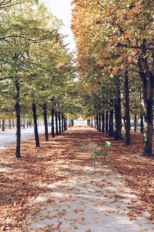 Paris Jardin Des Tuileries