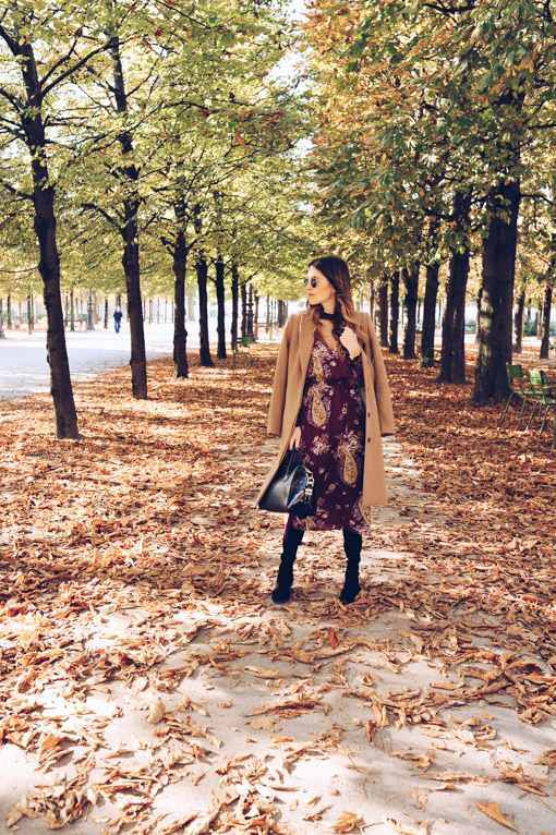 Paris Jardin Des Tuileries