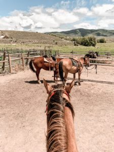 Collective Vail Horseback Riding