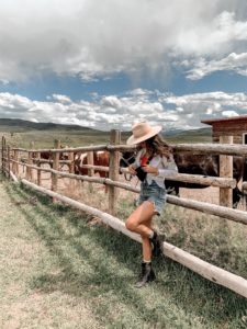 Collective Vail Horseback Riding