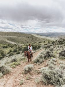 Collective Vail Horseback Riding