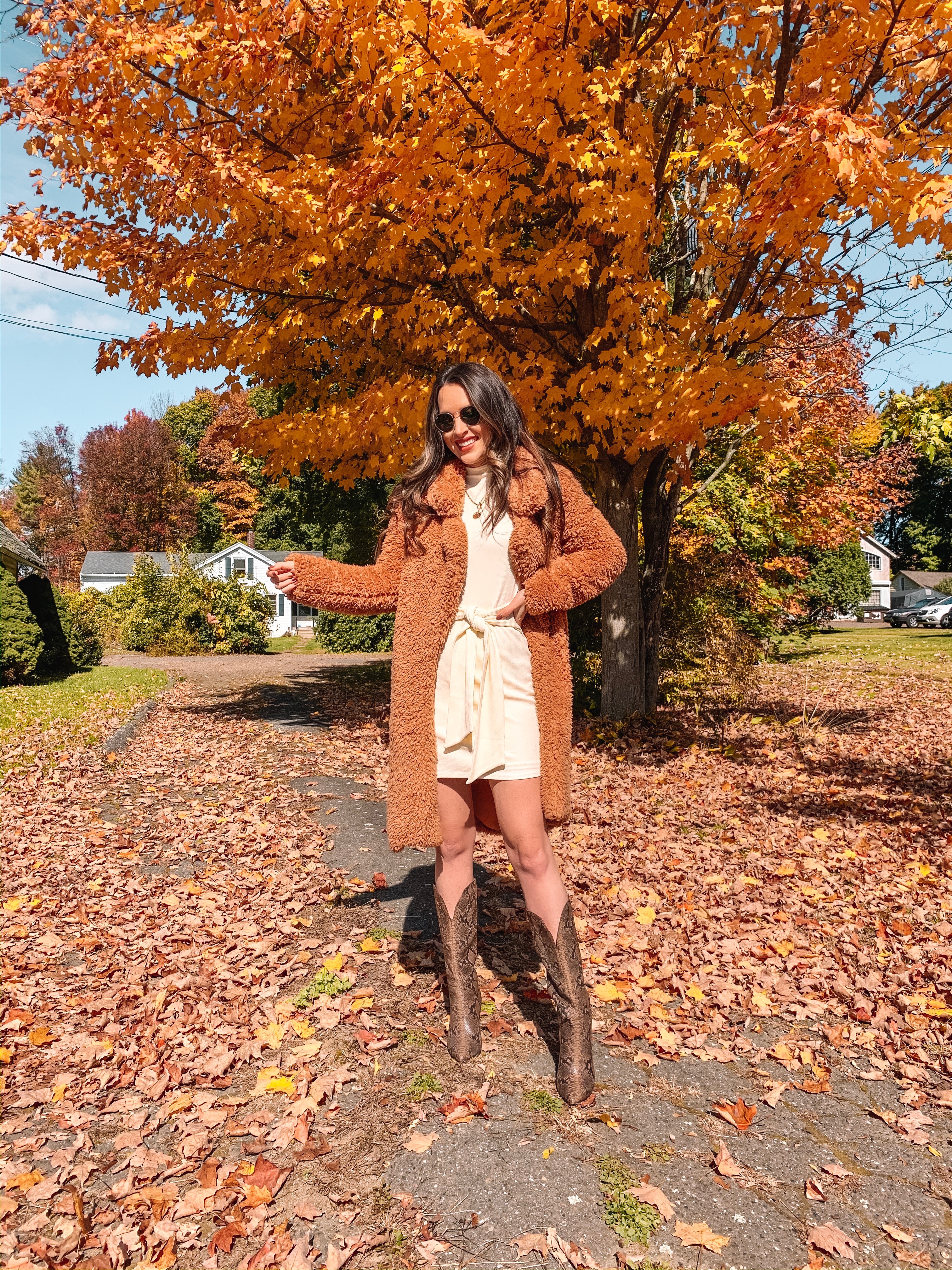 Outfit Idea: Teddy Jacket, Sweater Dress, Python Boots