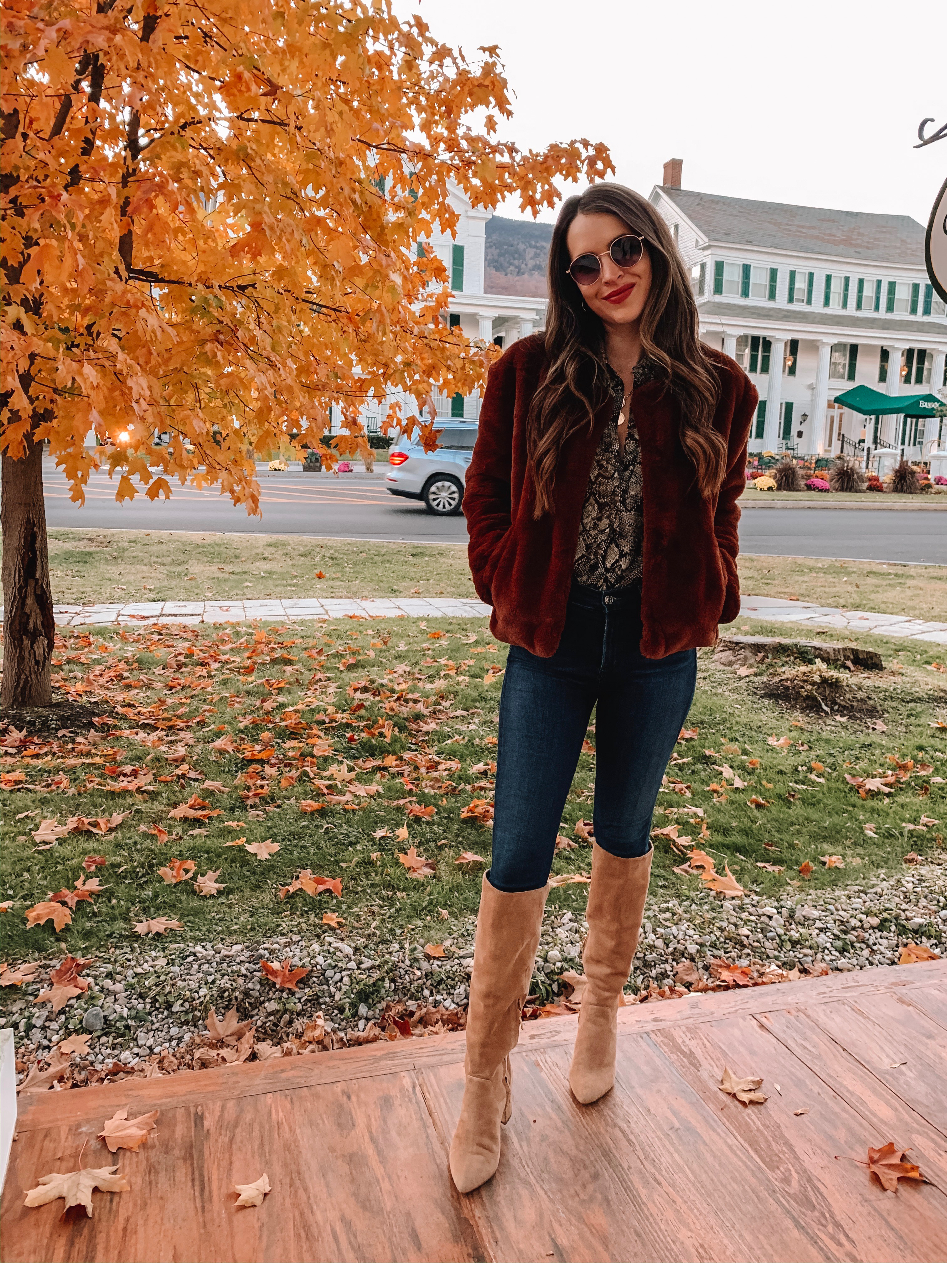 Faux Fur Jacket with Snake Print Top and Jeans