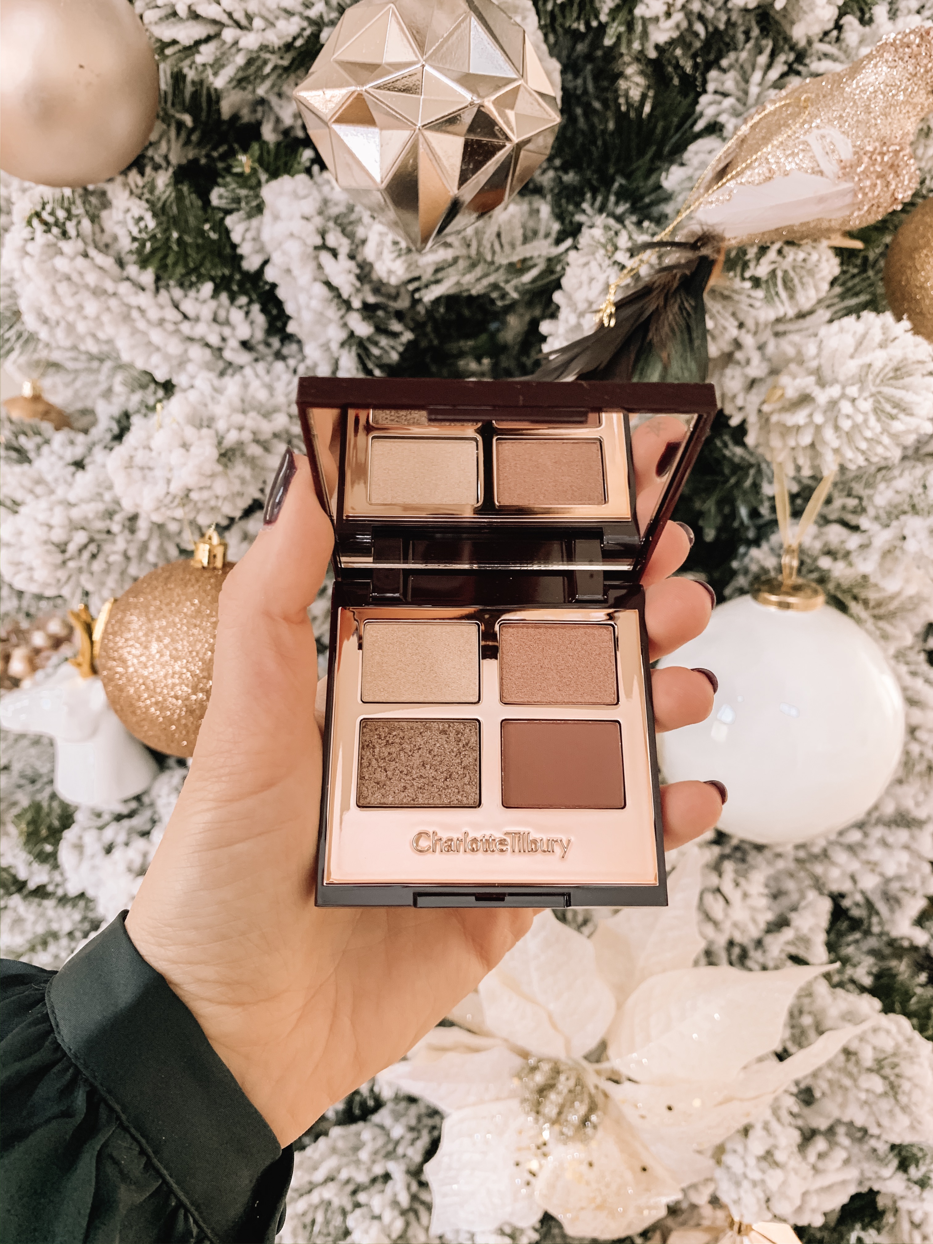 Charlotte Tilbury Exaggereyes Palette Tutorial