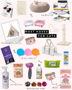 Must-Haves For Cats